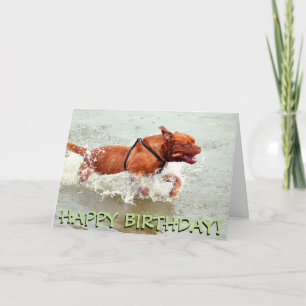 Tarjeta de cumpleaños Mastiff francesa