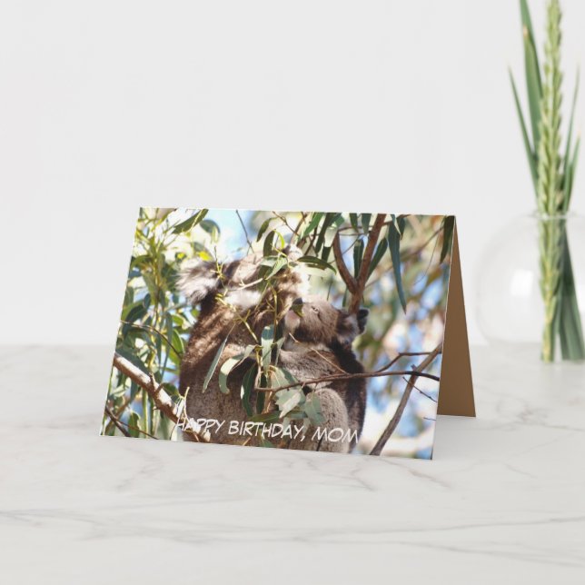 Tarjeta de cumpleaños materna con Koala joey (Anverso)