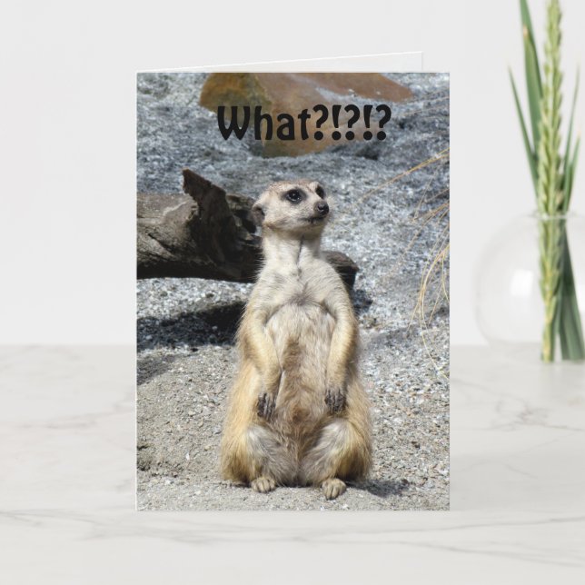 Tarjeta de cumpleaños Meerkat (Anverso)