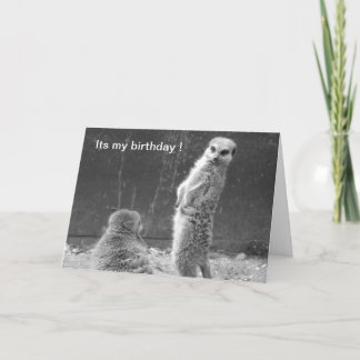 Tarjeta de cumpleaños Meerkat