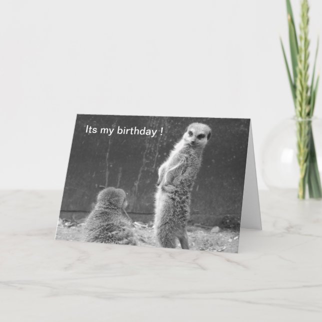 Tarjeta de cumpleaños Meerkat (Anverso)