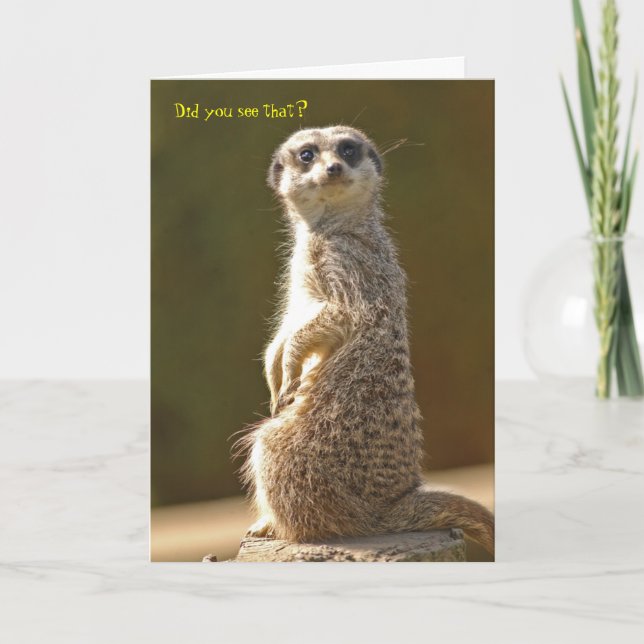Tarjeta de cumpleaños Meerkat (Anverso)