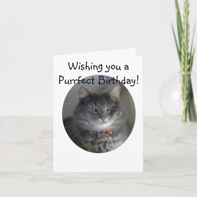 Tarjeta de cumpleaños - MERLIN el gato (Anverso)