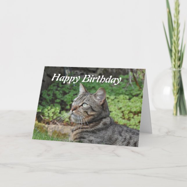 Tarjeta de cumpleaños: Minnie el gato (Anverso)