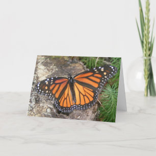 Tarjeta de cumpleaños Monarch Butterfly