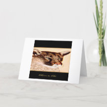 TARJETA DE CUMPLEAÑOS "NACIDO PARA SER"