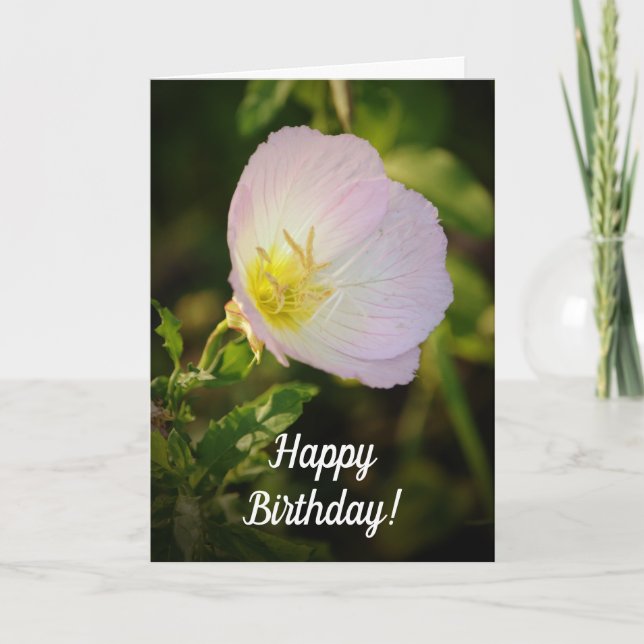 Tarjeta de cumpleaños Noche Primrose Wildflower (Anverso)
