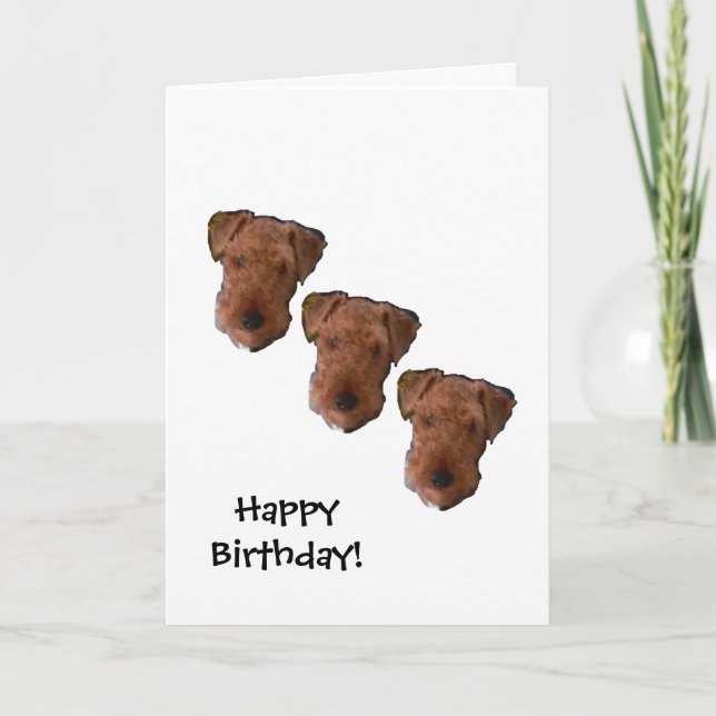 Tarjeta de cumpleaños nocturna de tres perros (Anverso)