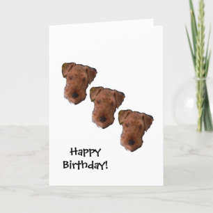 Tarjeta de cumpleaños nocturna de tres perros