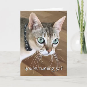 Tarjeta de cumpleaños número 50 de gato curioso