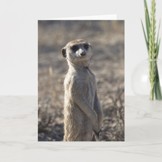 Tarjeta de cumpleaños número 5 de Zaphod (Anverso)