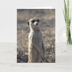 Tarjeta de cumpleaños número 5 de Zaphod