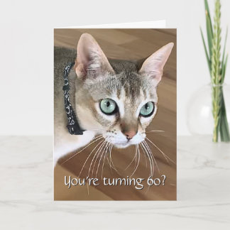 Tarjeta de cumpleaños número 60 de gato curioso