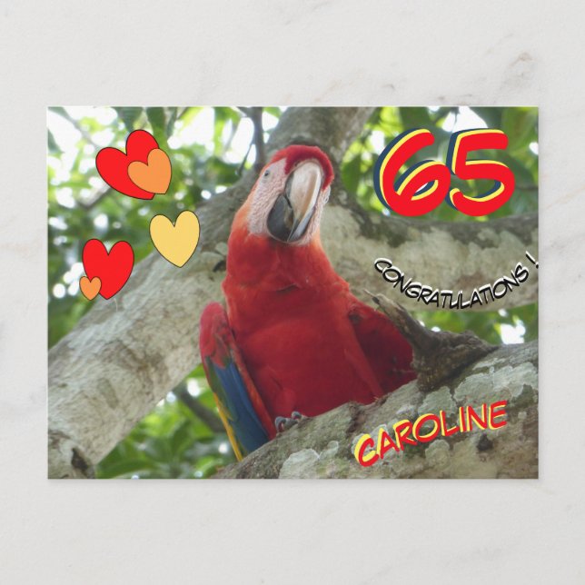 Tarjeta de cumpleaños número 65 del loro rojo colo (Anverso)