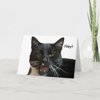 Tarjeta de cumpleaños: o de otro gato