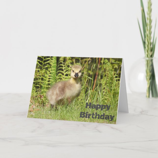 Tarjeta de cumpleaños o saludo de adorable ansarin (Anverso)