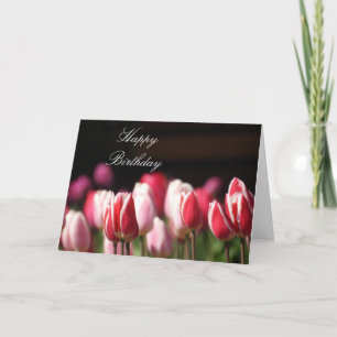 Tarjeta de cumpleaños o saludo de tulipanes. Perso