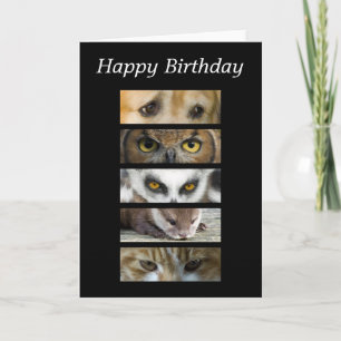 Tarjeta de cumpleaños - Ojos de animales