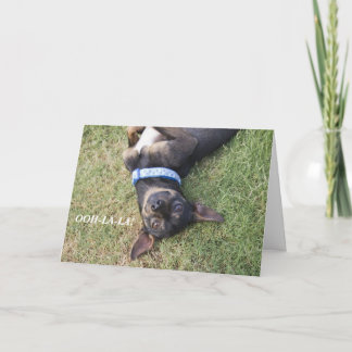 Tarjeta de cumpleaños Ooh-la-la Chihuahua