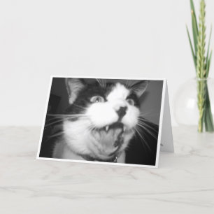 Tarjeta de cumpleaños Opera Kitty