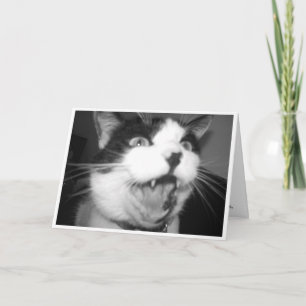 Tarjeta de cumpleaños Opera Kitty