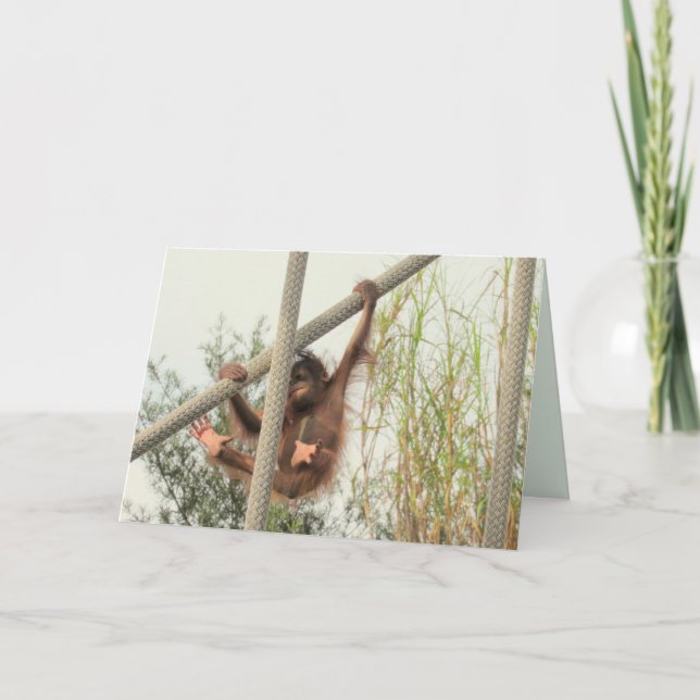 Tarjeta de cumpleaños Orangutan para bebé swing (Anverso)