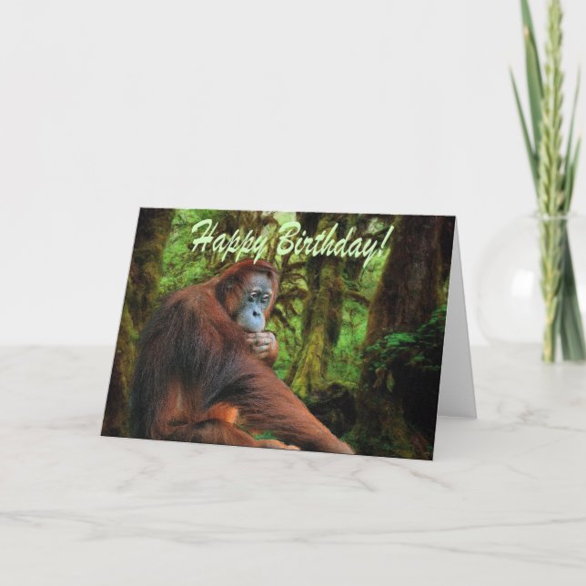 Tarjeta de cumpleaños Orangutan & Rainforest (Anverso)