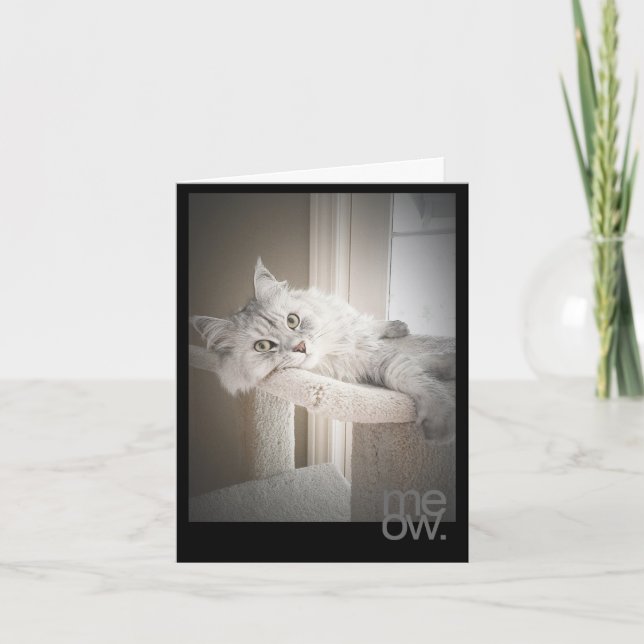 Tarjeta de cumpleaños original traducida de Meow (Anverso)