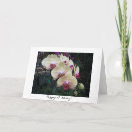 Tarjeta de cumpleaños Orquídea Rosa