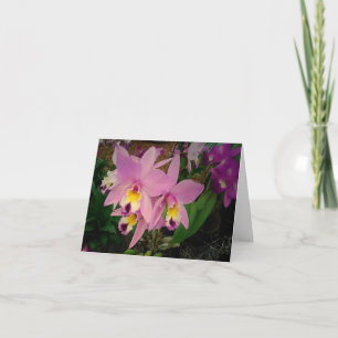 Tarjeta de cumpleaños: orquídeas con un sueño real