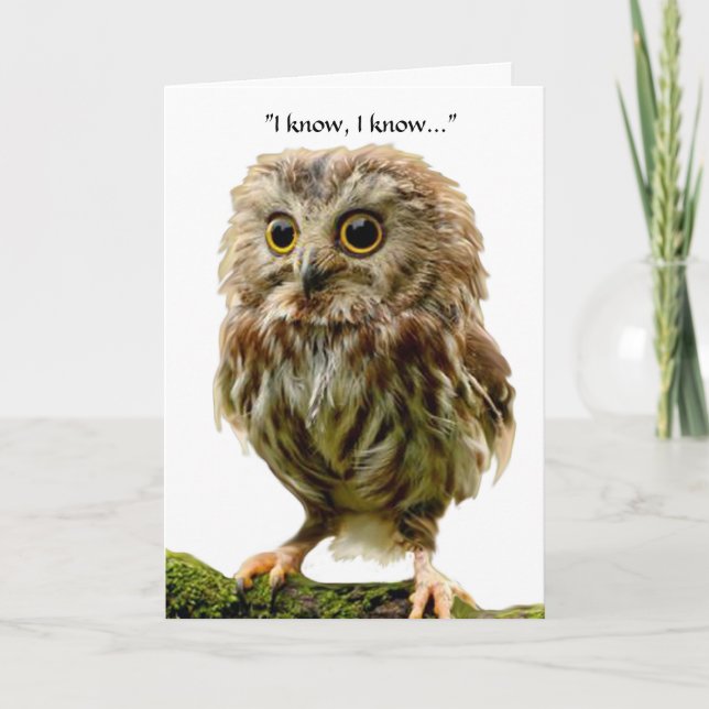 Tarjeta de cumpleaños Owl de 50 años (Anverso)