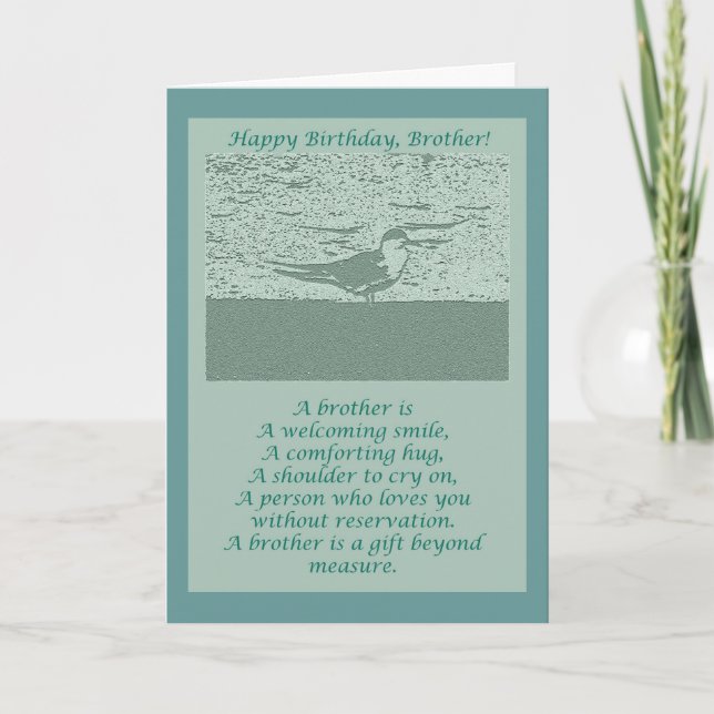 Tarjeta de cumpleaños Oystercatcher Brother (Anverso)