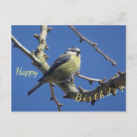 Tarjeta de cumpleaños Pajarito con Cielo Azul