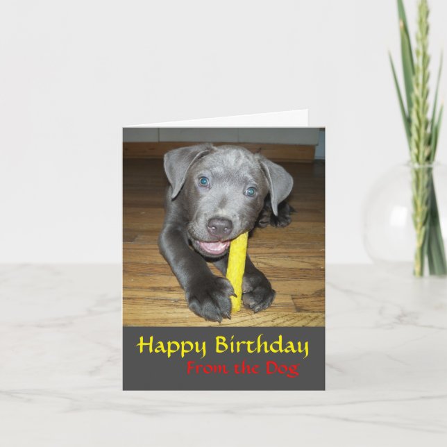 Tarjeta de cumpleaños para amante de cachorros Lab (Anverso)