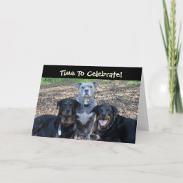 Tarjeta de cumpleaños para animales de fiesta de c
