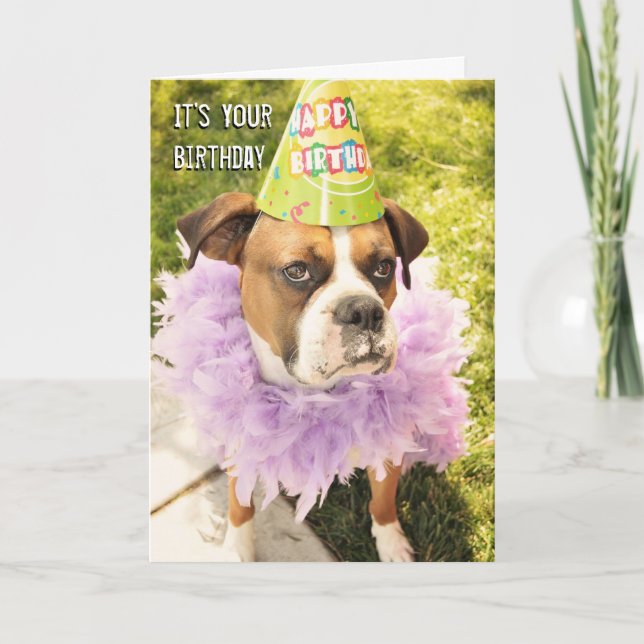 Tarjeta de cumpleaños para animales fiesta (Anverso)