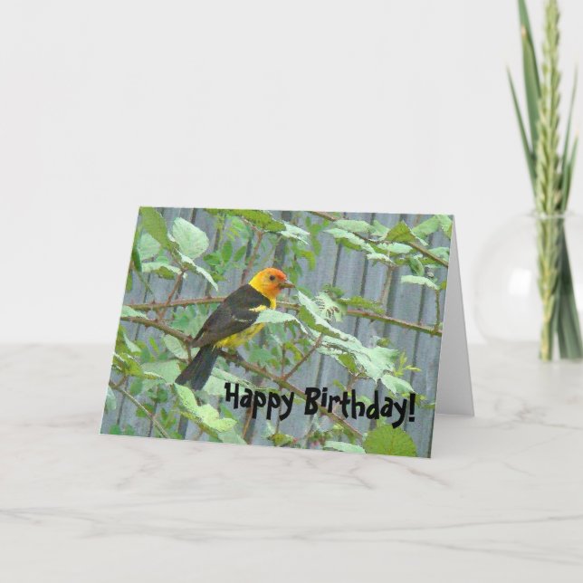 Tarjeta de cumpleaños para aves de Western Tanager (Anverso)