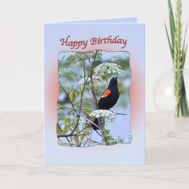 Tarjeta de cumpleaños para aves negras de ala roja (Anverso)