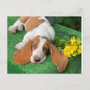 Tarjeta de cumpleaños para basset hound