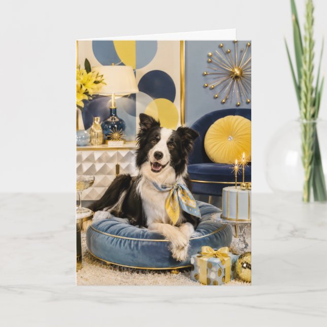 Tarjeta de cumpleaños para Border Collie (Anverso)
