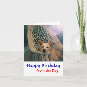 Tarjeta de cumpleaños para Border Collie