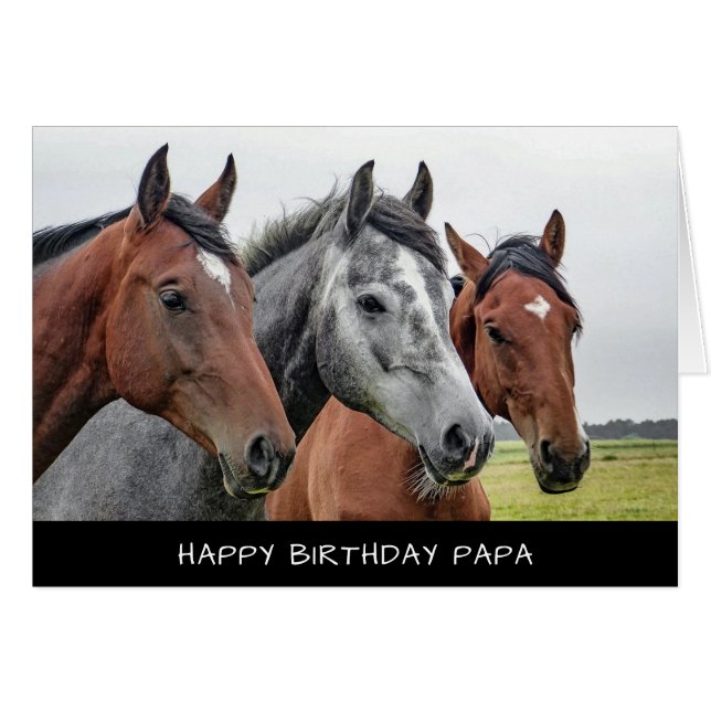 Tarjeta de cumpleaños para caballos (Anverso (Horizontal))