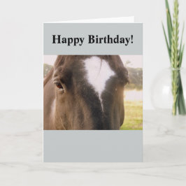Tarjeta de cumpleaños para caballos