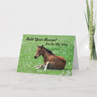 Tarjeta de cumpleaños para caballos jóvenes