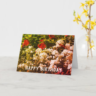 Tarjeta De Cumpleaños Para El Personalizable Hibis