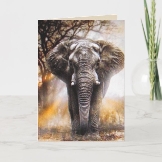 Tarjeta de cumpleaños para elefantes (Anverso)