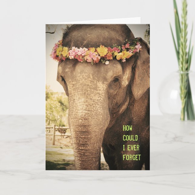Tarjeta de cumpleaños para elefantes (Anverso)