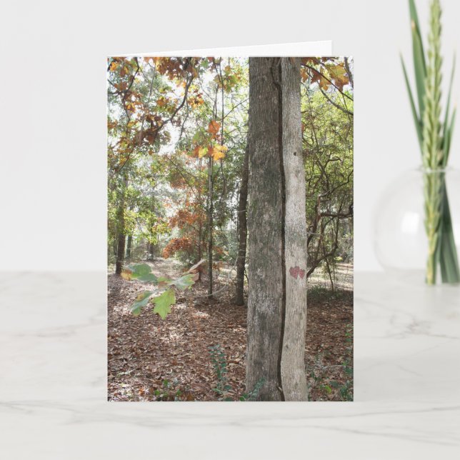 Tarjeta de cumpleaños para ese hijo especial (Anverso)