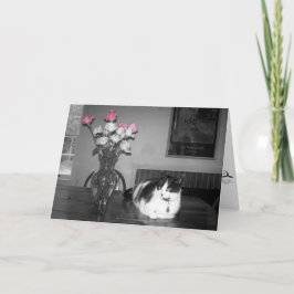 Tarjeta de cumpleaños para gato con rosas rosas ro