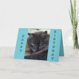Tarjeta de cumpleaños para gato negro